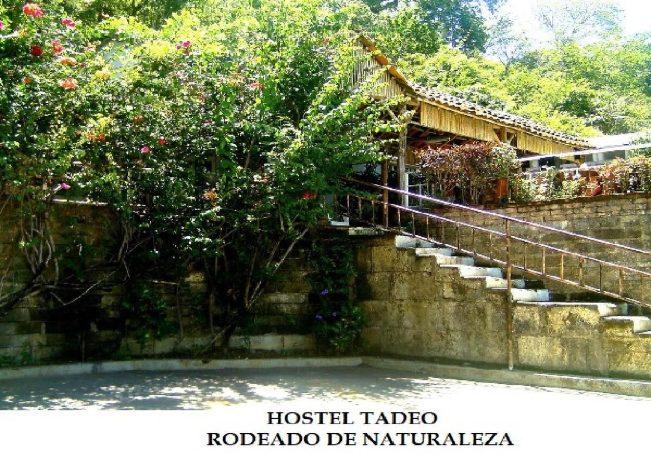 Hostel Tadeo San Juan Del Sur Exteriör bild